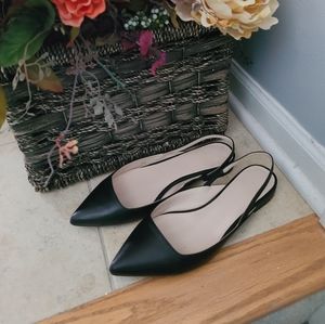 Everlane sling back editor flats/ Everlane Shoes